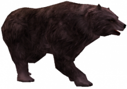 Hongerige Grizzly.png